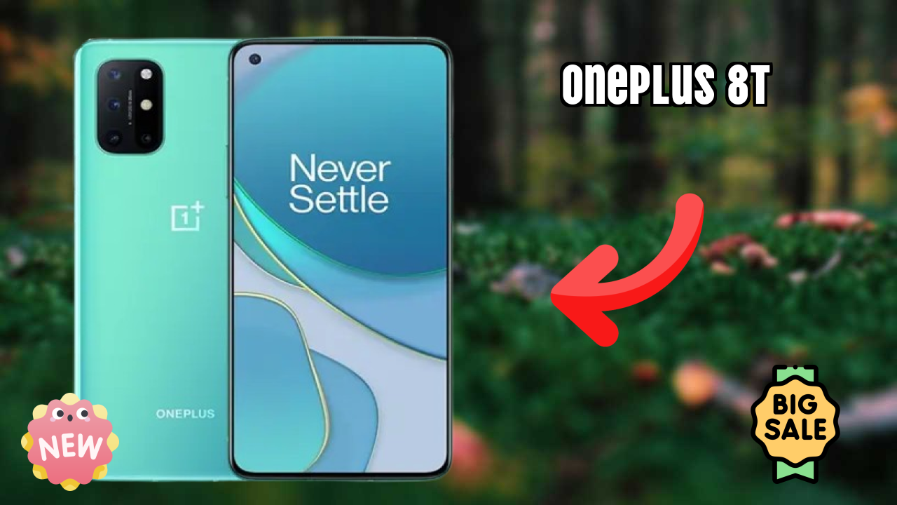 OnePlus 8T Camera Samples: 48 MP + 16 MP + 5 MP + 2 MP Rear Camera Quality Test