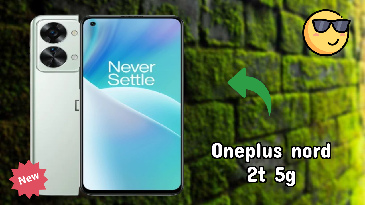 OnePlus Nord 2T 5G Camera Review: 50 MP + 8 MP + 2 MP Rear Camera Photo Quality